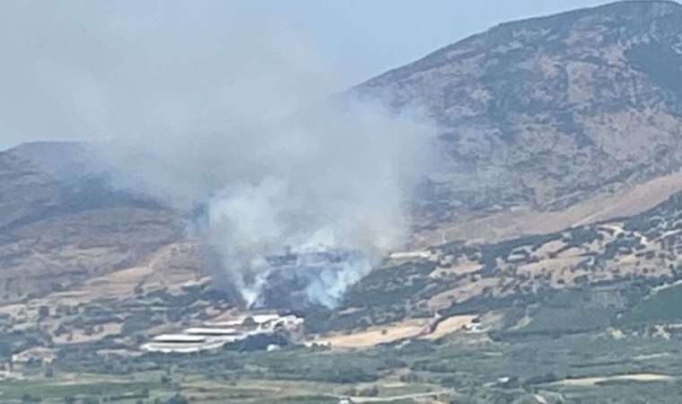 Menemen'de orman yangını