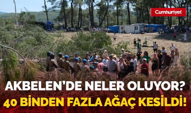 Akbelen’de neler oluyor? 40 binden fazla ağaç kesildi!