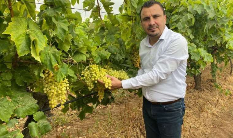 CHP’li Başevirgen: Kuru üzümün taban fiyatı 65 lira olmalı