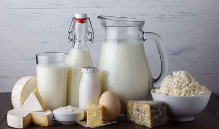 Peynir ve sütte ’brucella’ tehlikesi