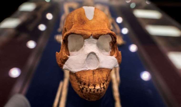 Yoksa atalarımız yamyam mıydı?