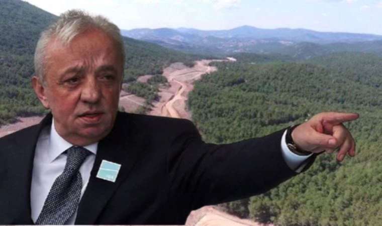 Yargı süreci devam ederken bakır madeni için ağaç kıyımı: Kaz Dağları kuruyacak