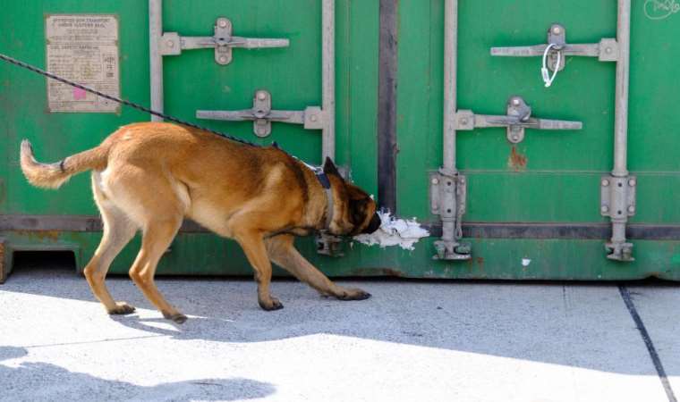 Hollanda tarihinin en büyük uyuşturucu operasyonunda 600 milyon Euro'luk kokain ele geçirildi