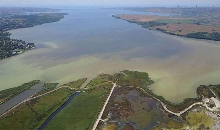 Uzmanlardan Küçükçekmece Gölü için kritik uyarı!