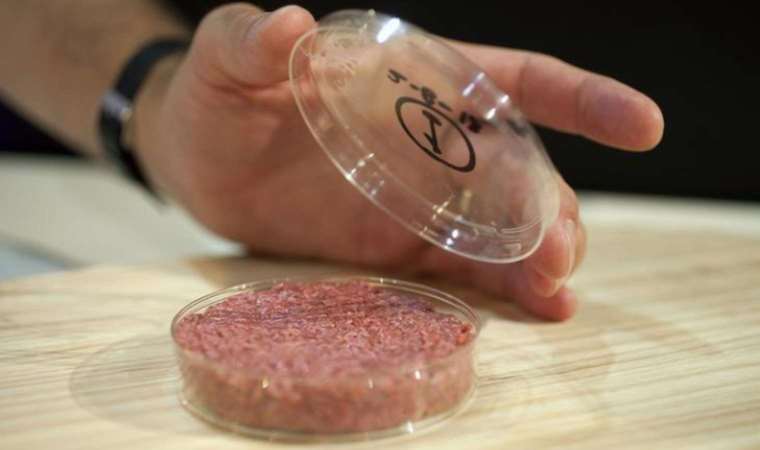 'Kültür eti' fabrikası Çin'in Şanghay kentinde üretime başladı