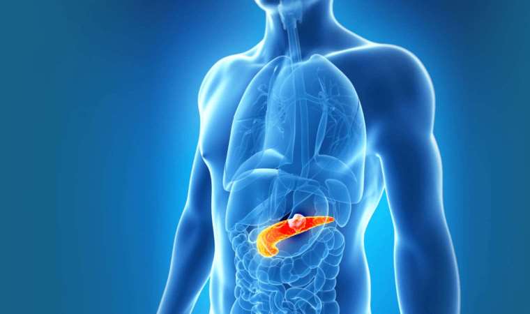 'Yeni tedavilere kapı açabilir...'