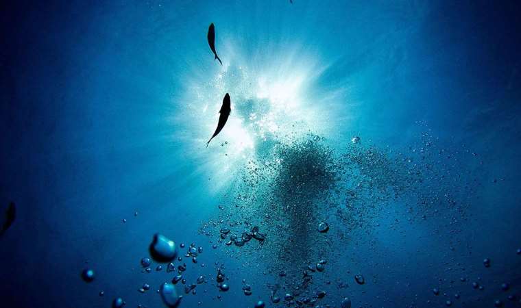 'İnsan benzeri azı dişlerine sahip...'