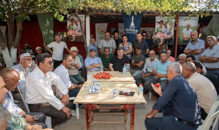 Üretici: İki kilo domates yarım litre suya denk!