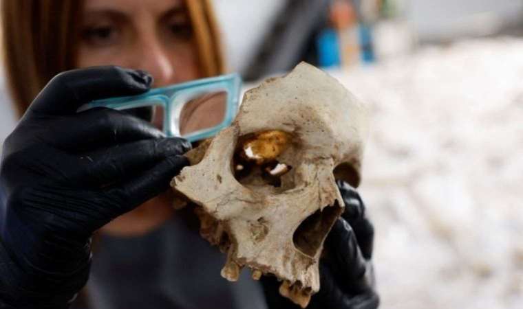 Ice age wiped out early humans in Europe