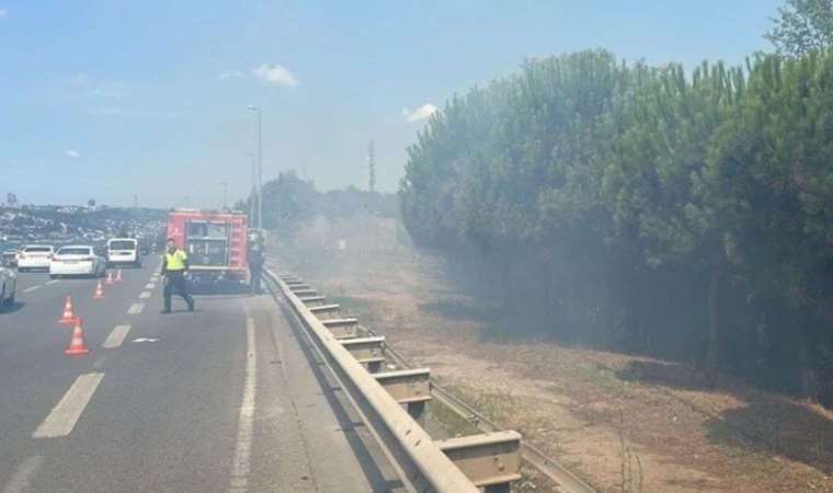 15 Temmuz Köprüsü yolunda ağaçlık alanda yangın