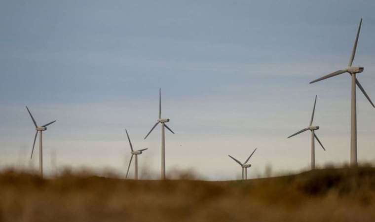 Temiz enerji olan RES projeleri yanlış bölgelerde yapılıyor: Rant uğruna talan