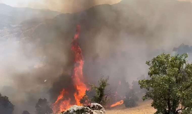 Bingöl'deki orman yangınında ikinci gün!