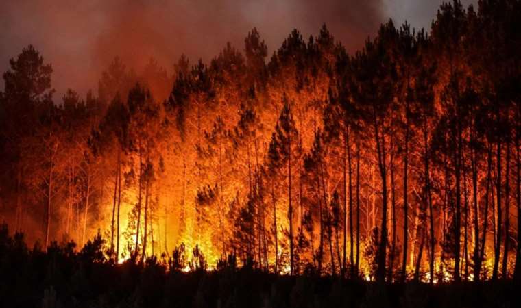 Major Wildfire Ravages Southern France, Forcing Evacuations