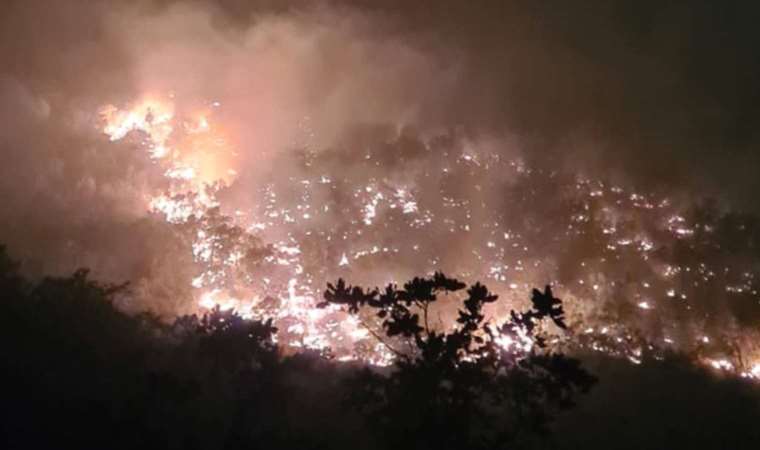 Siirt’teki orman yangını 15 saat sonra kontrol altında