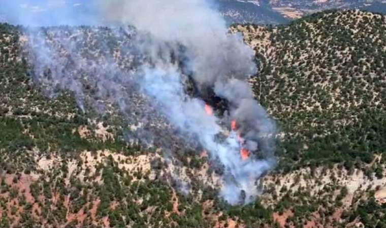 Bolu’da orman yangını... Ekipler müdahale ediyor