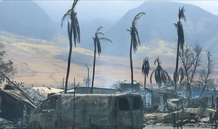 Hawaii wildfires: Death toll approaches 100
