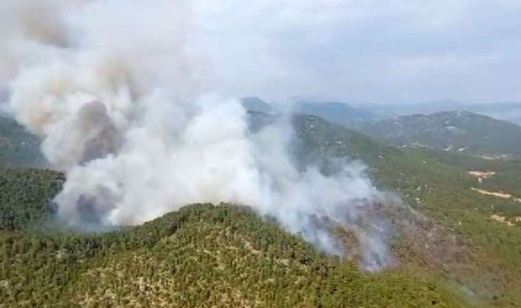 Son Dakika: Antalya’da orman yangını