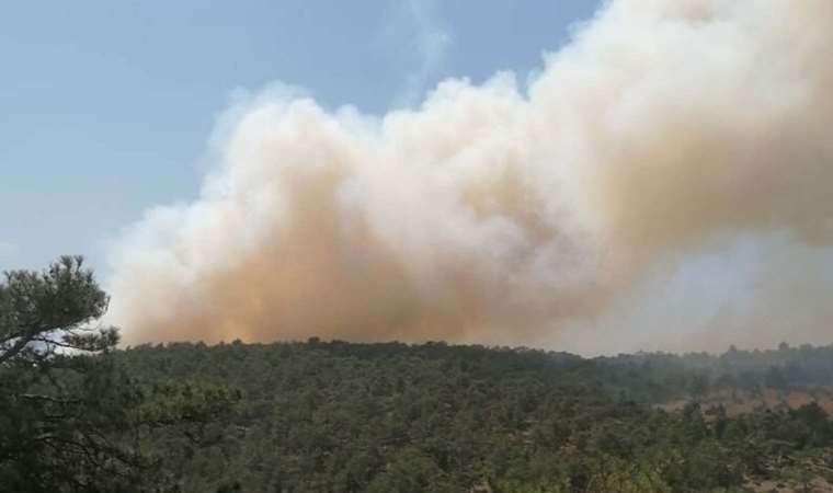 Denizli'de orman yangını!