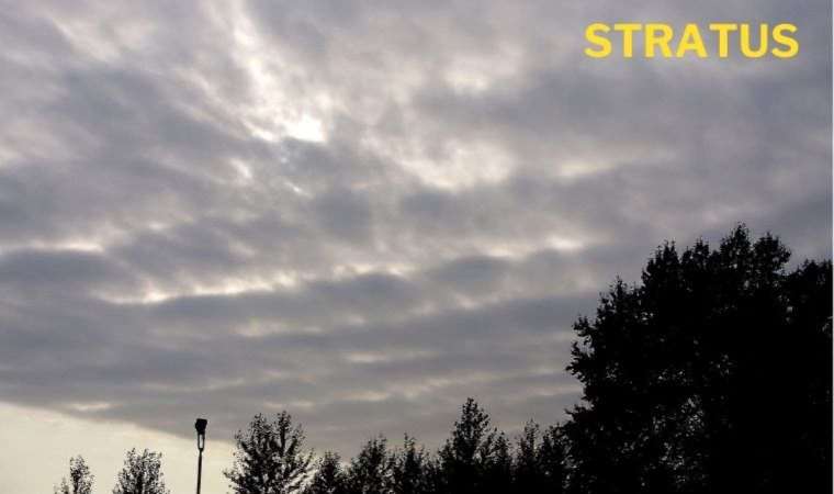 Stratus ne demek? Stratus kelimesinin anlamı ne? Stratus bulut ne demek?