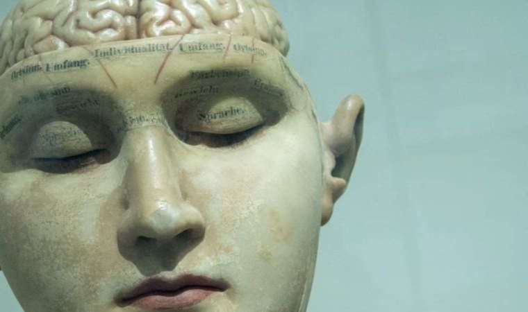 Sıcaklıklar, beynimizi de değiştiriyor! Şaşırtan etki