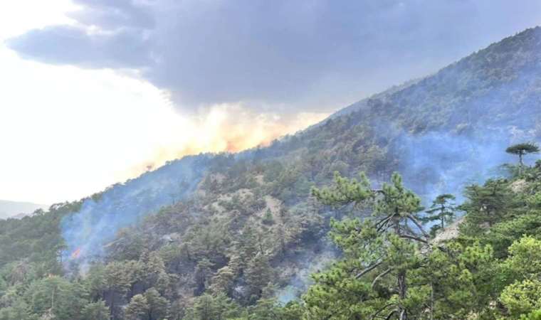 Bolu'daki yangın ikinci gününde devam ediyor: Bir yangın daha çıktı