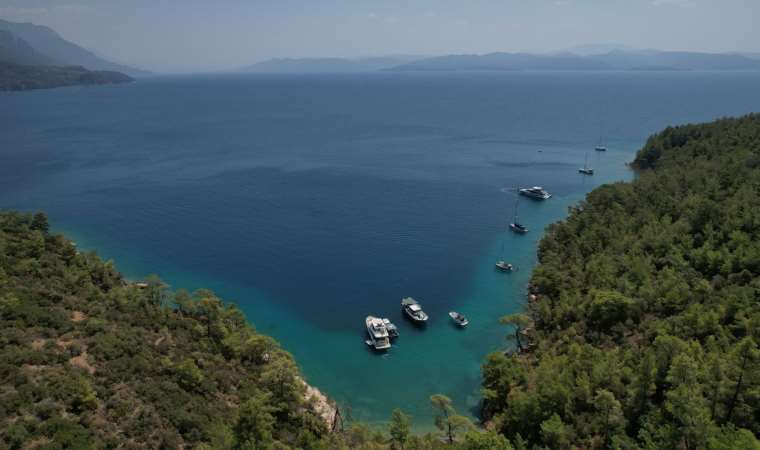 Muğla Büyükşehir Belediyesi doğa katliamlarına karşı 174 dava açtı