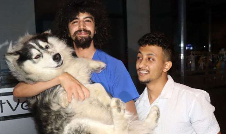 Köpek İstanbul’da kayboldu, Keşan’da bulundu!