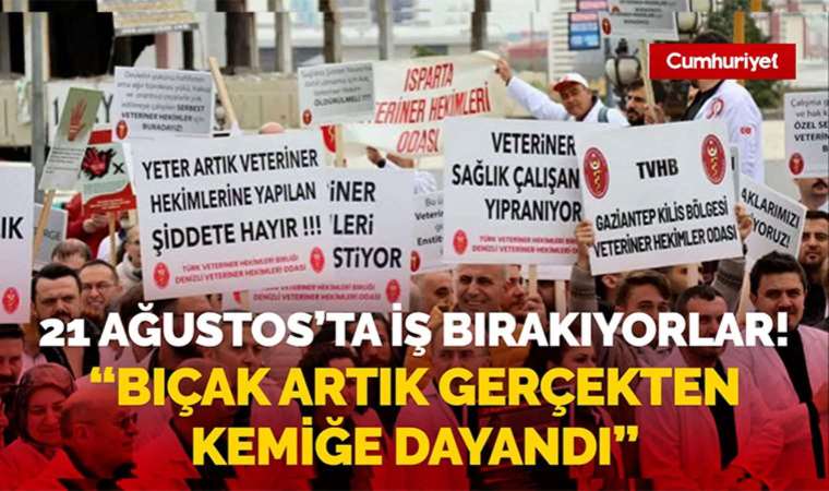 Kedisinin ölümünden veterineri sorumlu tutup darbetmişti! Veterinerler 21 Ağustos'ta işi bırakıyor