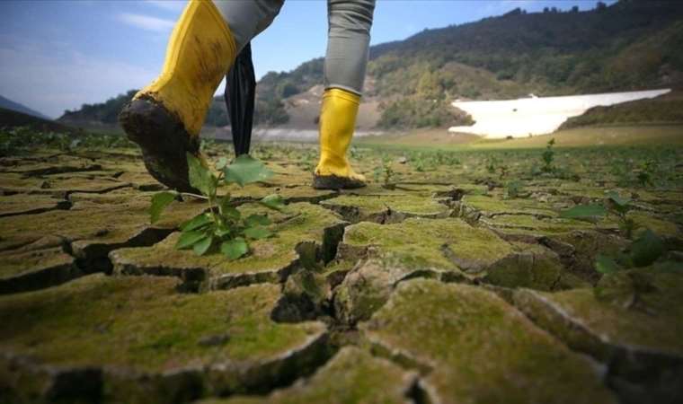 Dünya'da 25 ülke su kriziyle karşı karşıya