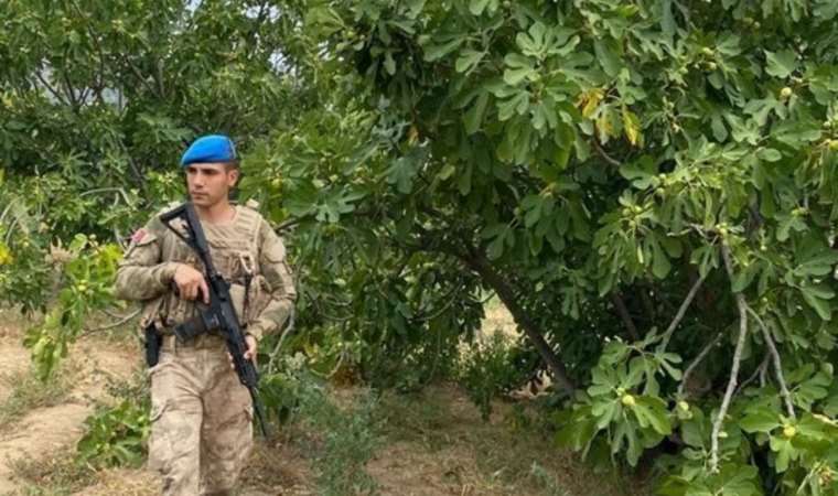 Aydın’da jandarma incir nöbetine başladı