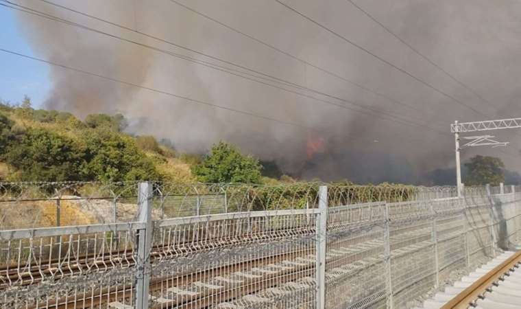 TÜBİTAK'ın ormanlık alanında yangın!