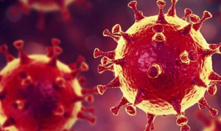 DSÖ'den Covid-19 güncellemesi