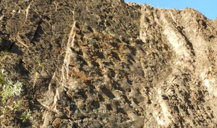 'Dinozor ayak izleri ortaya çıktı...'