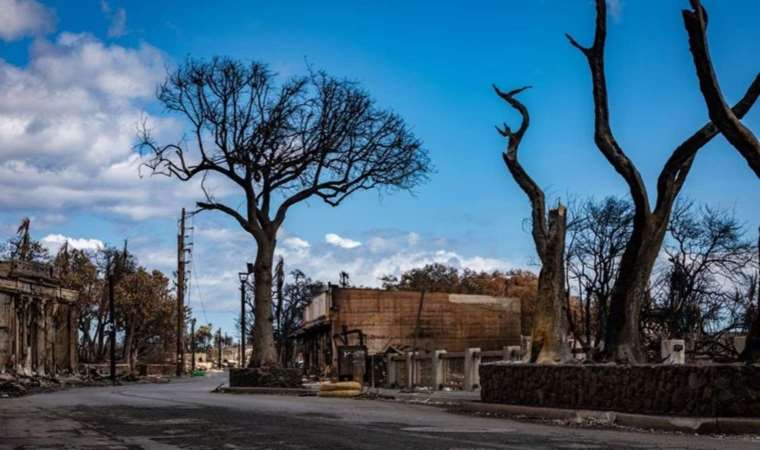 Maui's emergency management chief resigns