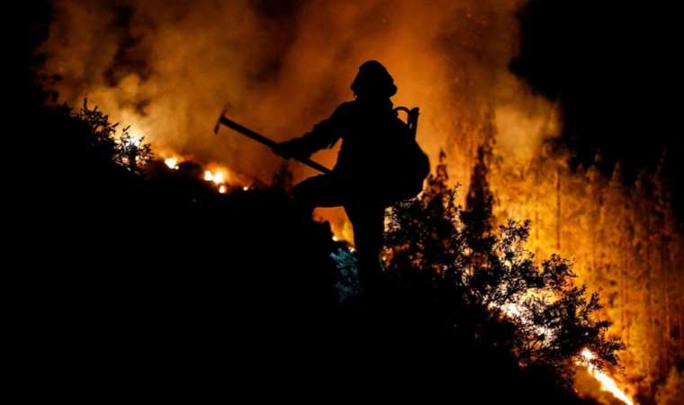 Spanish firefighters battle to contain forest fire threatening Tenerife
