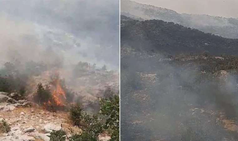 Diyarbakır'da orman yangını!