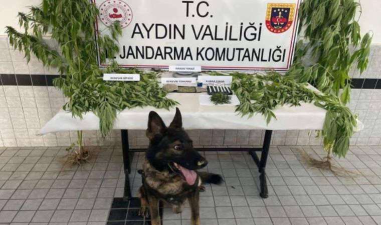 Aydın'da uyuşturucu operasyonu: 27 tutuklama