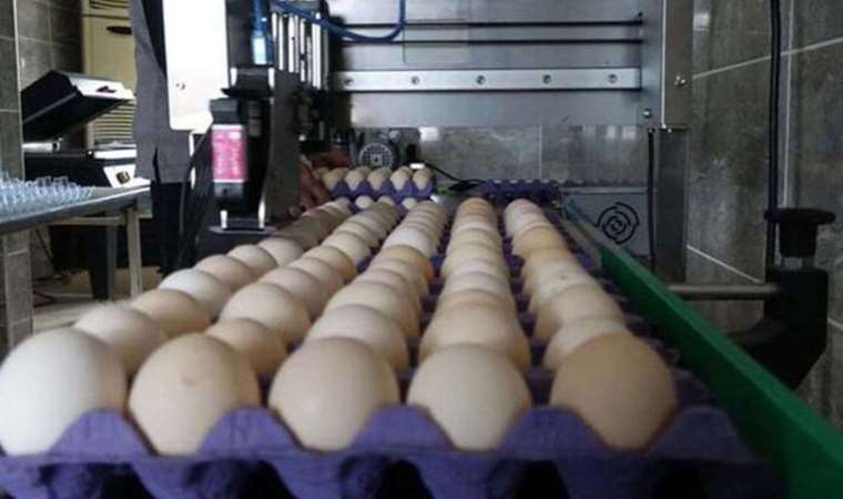 Yumurta viyolü üretimi yapan firmalara soruşturma