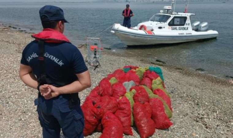 Yasadışı balık avlayanlara ceza yağdı!