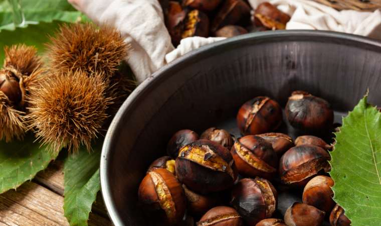 Kalp hastalıklarından kansere bir mucize: Kestanenin sağlığa faydaları