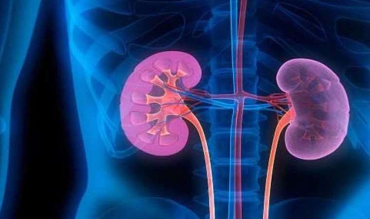 Dikkati hayatını kurtardı: İdrarında kan gören kadın hastaneye başvurdu acil ameliyata alındı