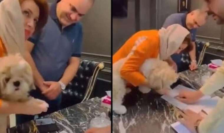 İran'da emlakçı, evi bir köpeğe devrettikten sonra tutuklandı