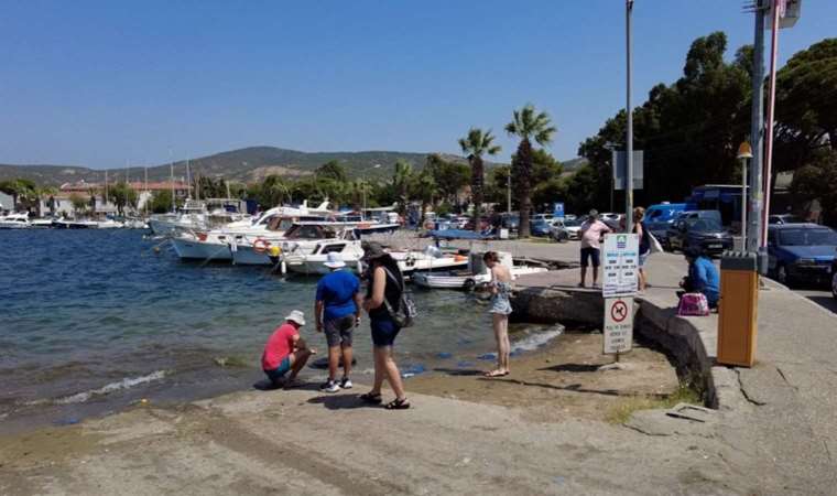 Foça’da turizmi denizanası vurdu, plajlar boş kaldı