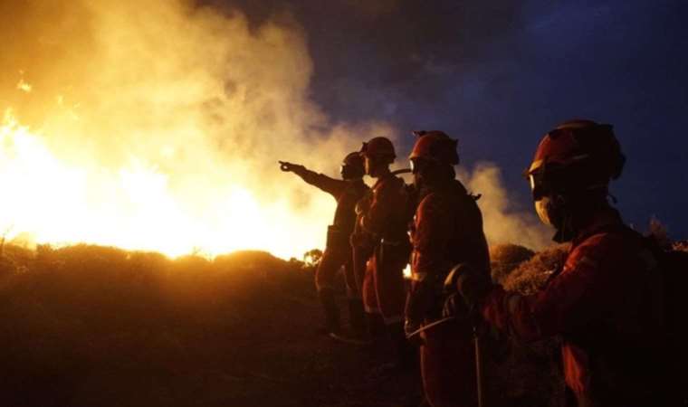 İspanya’nın Tenerife Adası’nda orman yangını: 'Kasıtlı olarak çıkarıldı'