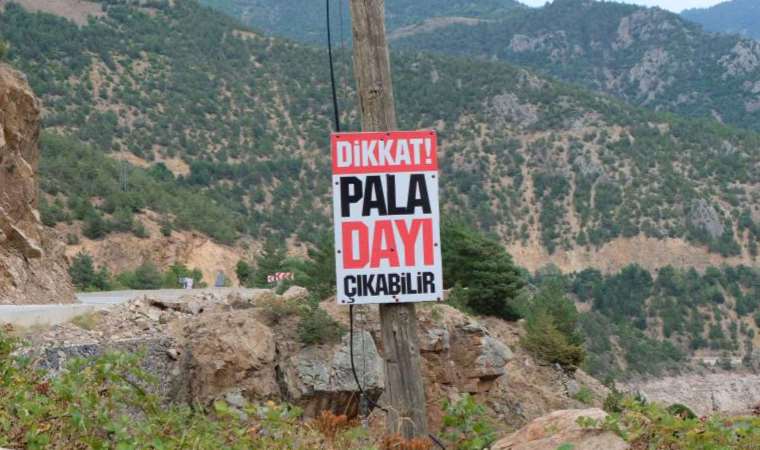 Sürücüler anlam veremiyor... Görülmemiş uyarı tabelası!