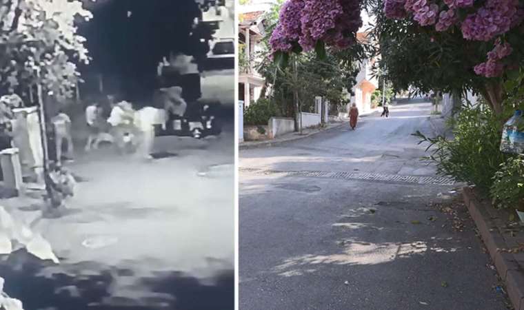 Büyükada'da laf atma kavgası: 3 yaralı