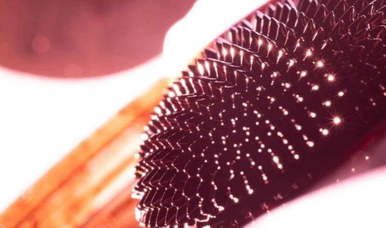 Fizikçiler yeni bir süperiletkenlik formu belirledi