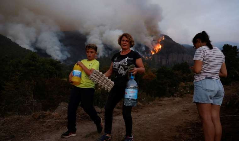 Tenerife residents returning home