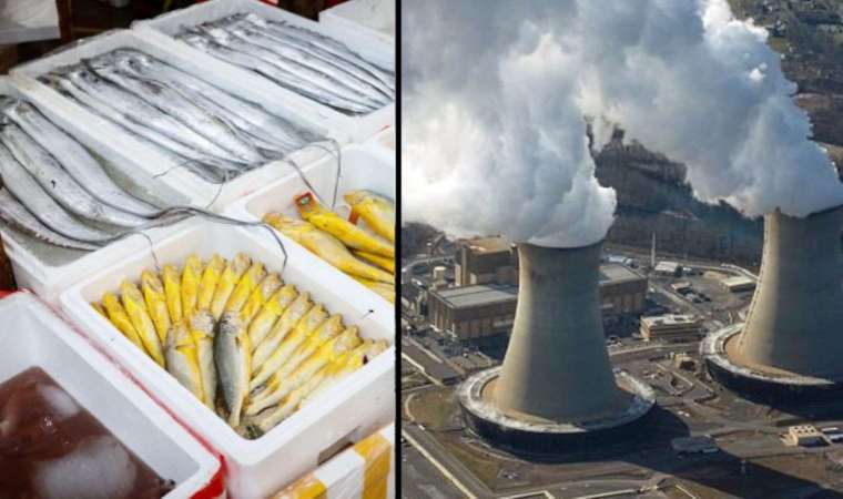 Çin'den Japonya'ya Fukushima tepkisi: 'Bencilce ve sorumsuzca'