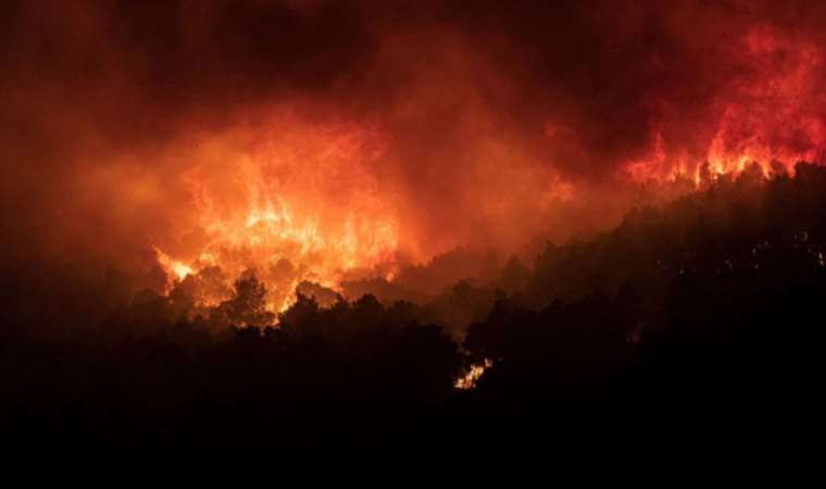 Wildfire outside Athens as hundreds of blazes ravage Greece